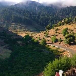 Meet your Posher, Lina